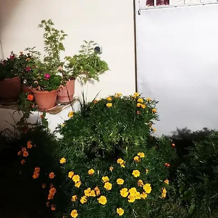 Iliana'S House Apartment Naousa  Exterior photo